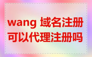 wang 域名注册可以代理注册吗
