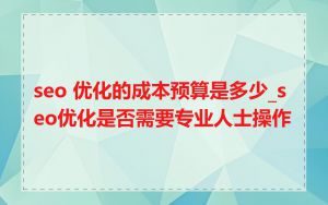 seo 优化的成本预算是多少_seo优化是否需要专业人士操作