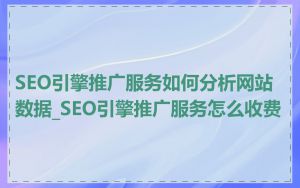 SEO引擎推广服务如何分析网站数据_SEO引擎推广服务怎么收费