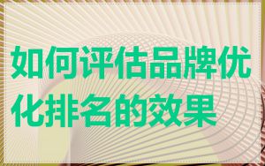 如何评估品牌优化排名的效果