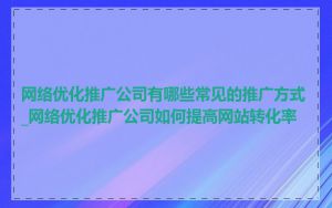 网络优化推广公司有哪些常见的推广方式_网络优化推广公司如何提高网站转化率