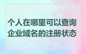 个人在哪里可以查询企业域名的注册状态