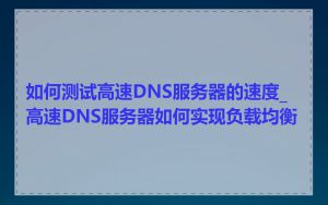 如何测试高速DNS服务器的速度_高速DNS服务器如何实现负载均衡