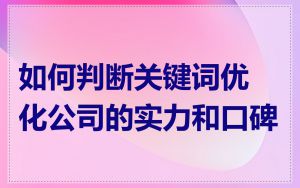 如何判断关键词优化公司的实力和口碑