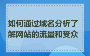 如何通过域名分析了解网站的流量和受众