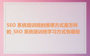 SEO 系统培训班的授课方式是怎样的_SEO 系统培训班学习方式有哪些
