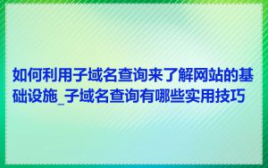 如何利用子域名查询来了解网站的基础设施_子域名查询有哪些实用技巧