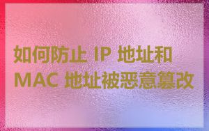 如何防止 IP 地址和 MAC 地址被恶意篡改
