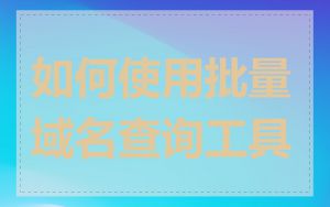 如何使用批量域名查询工具