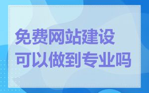 免费网站建设可以做到专业吗