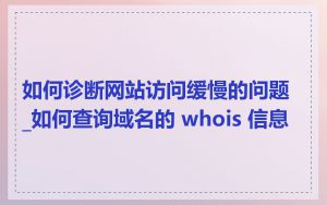 如何诊断网站访问缓慢的问题_如何查询域名的 whois 信息