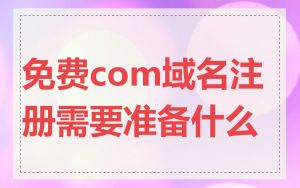免费com域名注册需要准备什么