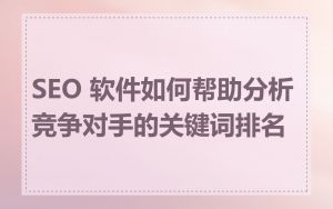 SEO 软件如何帮助分析竞争对手的关键词排名