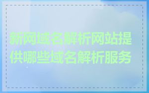新网域名解析网站提供哪些域名解析服务