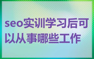 seo实训学习后可以从事哪些工作