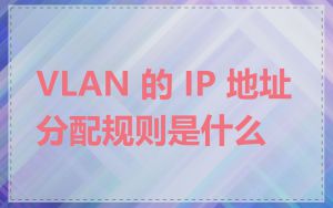VLAN 的 IP 地址分配规则是什么