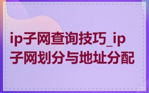 ip子网查询技巧_ip子网划分与地址分配