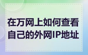 在万网上如何查看自己的外网IP地址