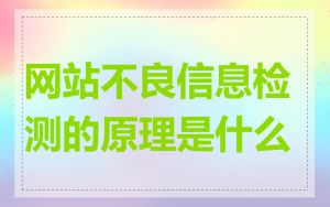 网站不良信息检测的原理是什么