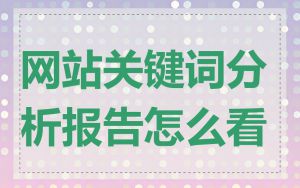 网站关键词分析报告怎么看
