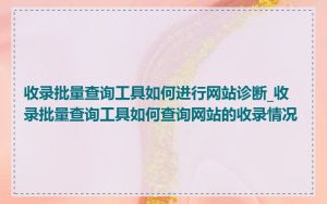 收录批量查询工具如何进行网站诊断_收录批量查询工具如何查询网站的收录情况