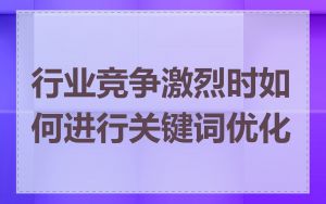行业竞争激烈时如何进行关键词优化