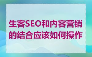生客SEO和内容营销的结合应该如何操作