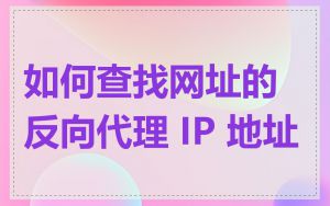 如何查找网址的反向代理 IP 地址