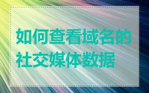 如何查看域名的社交媒体数据