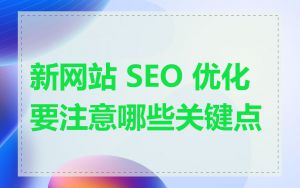 新网站 SEO 优化要注意哪些关键点