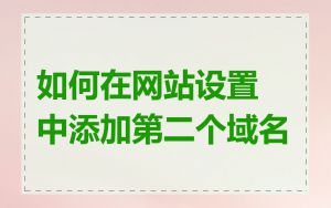 如何在网站设置中添加第二个域名