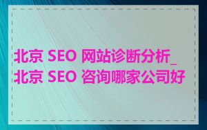 北京 SEO 网站诊断分析_北京 SEO 咨询哪家公司好