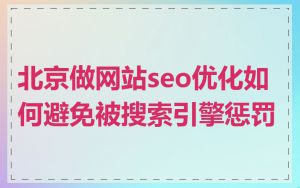 北京做网站seo优化如何避免被搜索引擎惩罚
