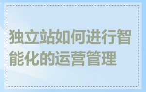 独立站如何进行智能化的运营管理