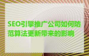 SEO引擎推广公司如何防范算法更新带来的影响