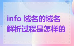 info 域名的域名解析过程是怎样的