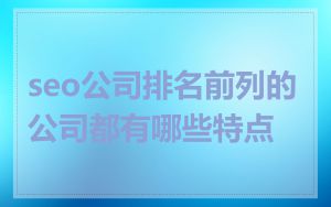 seo公司排名前列的公司都有哪些特点