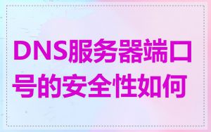 DNS服务器端口号的安全性如何