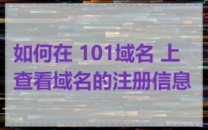 如何在 101域名 上查看域名的注册信息