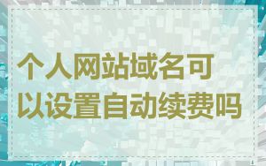 个人网站域名可以设置自动续费吗