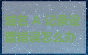 域名 A 记录设置错误怎么办