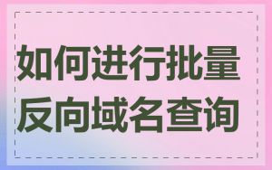 如何进行批量反向域名查询