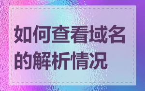 如何查看域名的解析情况
