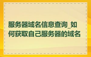 服务器域名信息查询_如何获取自己服务器的域名