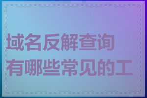 域名反解查询有哪些常见的工具