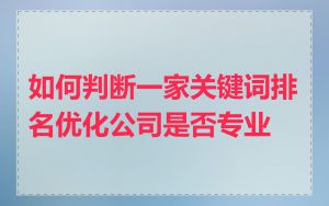 如何判断一家关键词排名优化公司是否专业
