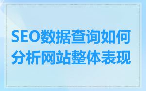 SEO数据查询如何分析网站整体表现