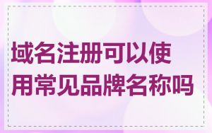 域名注册可以使用常见品牌名称吗