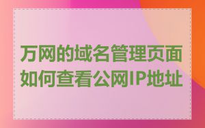 万网的域名管理页面如何查看公网IP地址