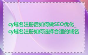 cy域名注册后如何做SEO优化_cy域名注册如何选择合适的域名
